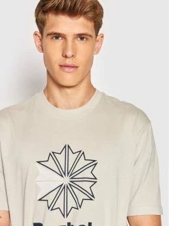 Reebok T-shirts T-Shirt Classics Starcrest HD4016 Γκρι Relaxed Fit -Reebok Classic Εκπτώσεις unnamed file 1239