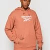 Reebok Άνδρες Μπλούζες Με Κουκούλα Μπλούζα Classics Foundation Vector GU3881 Καφέ Oversize