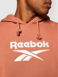 Reebok Άνδρες Μπλούζες Με Κουκούλα Μπλούζα Classics Foundation Vector GU3881 Καφέ Oversize -Reebok Classic Εκπτώσεις unnamed file 618