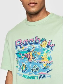 Reebok Άνδρες T-shirts T-Shirt Classics Destination H54353 Πράσινο Loose Fit -Reebok Classic Εκπτώσεις unnamed file 844